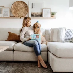 ZippyPaws Display Birthday Box Dog Toy - 3pk -PawHut Sales Store GUEST e1e2b514 289f 49c9 98fe bec1ee401602