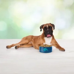 Blue Buffalo Freedom Grain Free With Chicken, Potatoes & Peas Adult Dry Dog Food -PawHut Sales Store GUEST e2581b81 5cbf 4bb5 9808 8bb2f645d131