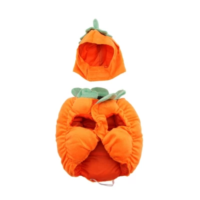 Zack & Zoey Pumpkin Pooch Dog Costume 2 Zack & Zoey Pumpkin Pooch Dog Costume - Image 2