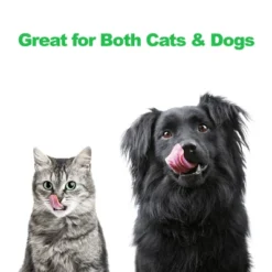 Elevated Dog And Cat Bowls - Decorative 6.5-Inch-Tall Raised Stand With 2 Stainless-Steel Food And Water Bowls - Hold 40oz Each By PETMAKER (Black) 10 Elevated Dog And Cat Bowls - Decorative 6.5-Inch-Tall Raised Stand With 2 Stainless-Steel Food And Water Bowls - Hold 40oz Each By PETMAKER (Black) -PawHut Sales Store GUEST e3d0b98c 91c9 4e1d 91ec de4dada6d492