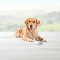 Blue Buffalo Blue's Stew Chicken & Beef In Gravy Wet Dog Food Variety Pack For Adult Dogs, Grain-Free - 12.5oz/6ct -PawHut Sales Store GUEST e47b8b46 b5d4 40ff 8bf7 f2b32327cf47