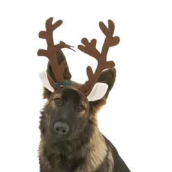 Midlee Brown Reindeer Dog Antlers Headband Pet Christmas Costume 7 Midlee Brown Reindeer Dog Antlers Headband Pet Christmas Costume -PawHut Sales Store GUEST e49476bb 1b89 425f ac64 04e95576bef5