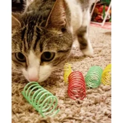 Spot Thin & Colorful Springs Cat Toy - 10 Pack
