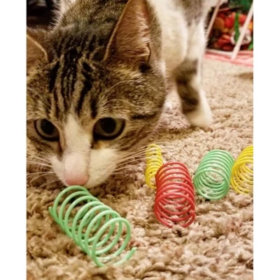 Spot Thin & Colorful Springs Cat Toy - 10 Pack 1 Spot Thin & Colorful Springs Cat Toy - 10 Pack