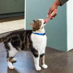 Temptations Creamy Puree With Salmon Lickable Squeezable Adult Cat Treats 11 Temptations Creamy Puree With Salmon Lickable Squeezable Adult Cat Treats -PawHut Sales Store GUEST e51a55da a467 483c a111 b9f9e5b7dace