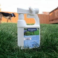 PawHut Sales Store -PawHut Sales Store GUEST e535a098 399d 43f3 9989 16692f00ab8f