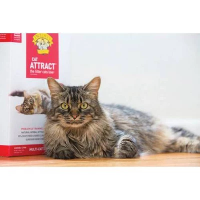 Dr. Elsey's Cat Attract Litter - 20lbs 2 Dr. Elsey's Cat Attract Litter - 20lbs - Image 2