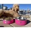 Black Rhino 64 Oz Double Insulated Stainless Steel Dog Bowls - Black