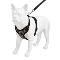 Voyager Step-In Lock Adjustable Dog & Cat Harness And 5ft Leash Combo -PawHut Sales Store GUEST e60e115f 1fb3 4bc9 8518 be820d0114da
