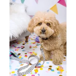 Pink Papyrus Avery Dog Leash