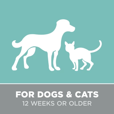 Groomer Essential Berry Clean Dog Shampoo Gallon 7 Groomer Essential Berry Clean Dog Shampoo Gallon - Image 7