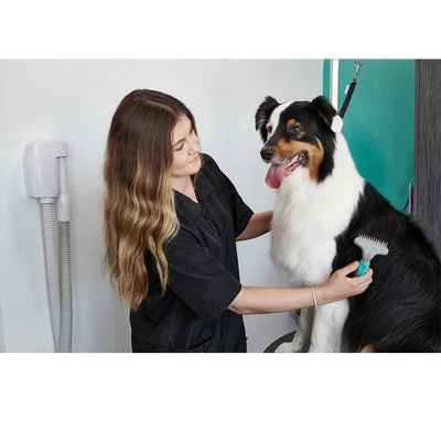 Groomer Essentials Undercoat Rake Double Row 1 Groomer Essentials Undercoat Rake Double Row