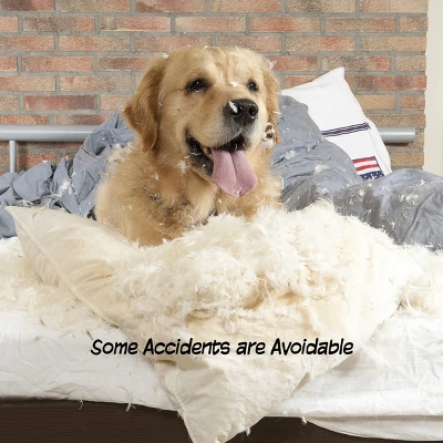 Indoor Pet Gate - 4-Panel Folding Dog Gate For Stairs Or Doorways - 73.5x32-Inch Tall Freestanding Pet Fence For Cats And Dogs By PETMAKER (White) 3 Indoor Pet Gate - 4-Panel Folding Dog Gate For Stairs Or Doorways - 73.5x32-Inch Tall Freestanding Pet Fence For Cats And Dogs By PETMAKER (White) - Image 3