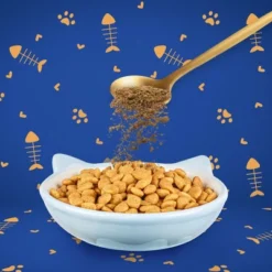 Codeage DNA PET Happy Healthy Organs & Glands Supplement For Cats -1.48oz 8 Codeage DNA PET Happy Healthy Organs & Glands Supplement For Cats -1.48oz -PawHut Sales Store GUEST ebb38872 256d 431b bd76 9149c8dd1768