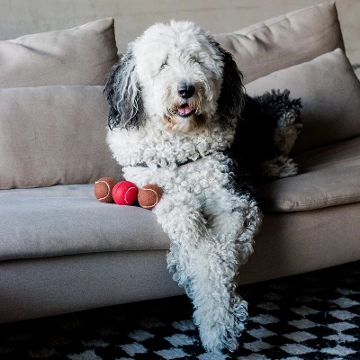 Midlee Red Nose Christmas Dog Tennis Balls (Standard) 4 Midlee Red Nose Christmas Dog Tennis Balls (Standard) - Image 4