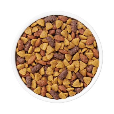 Dog Chow Complete Adult Lamb Dry Dog Food - 18.5lbs 1 Dog Chow Complete Adult Lamb Dry Dog Food - 18.5lbs