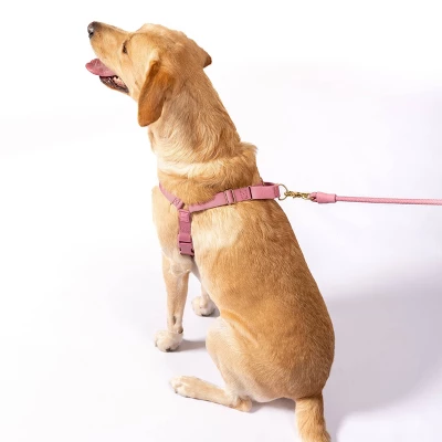 AWOO Roam No-pull Adjustable Recycled Dog Harness 2 AWOO Roam No-pull Adjustable Recycled Dog Harness - Image 2