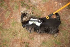 Doggy Tales Realtree 2X Sport Harness Snow -PawHut Sales Store GUEST ed4dd591 2ad1 4030 99e8 2e2ebf0600d9