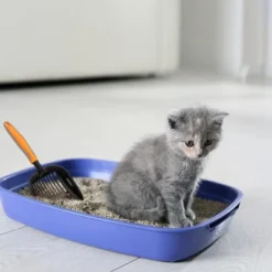 PAWBEE Metal Cat Litter Scoop - Premium Non-Stick Cat Litter Scooper With Holder - Deep Shovel Cat Scooper - Long Non-Slip Handle Kitty Litter Scoop 13 PAWBEE Metal Cat Litter Scoop - Premium Non-Stick Cat Litter Scooper With Holder - Deep Shovel Cat Scooper - Long Non-Slip Handle Kitty Litter Scoop -PawHut Sales Store GUEST eebd6b59 f019 4909 b38a ebb50b800bdf