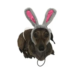 Midlee Easter Bunny Gray & Pink Dog Rabbit Ears With Tail (Small) 9 Midlee Easter Bunny Gray & Pink Dog Rabbit Ears With Tail (Small) -PawHut Sales Store GUEST ef239d27 38aa 4b7a ad35 0d1872e82511