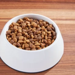 IAMS Proactive Health Lamb & Rice Recipe Adult Premium Dry Dog Food -PawHut Sales Store GUEST ef4a3640 e552 474a 8763 2f48e85e7074