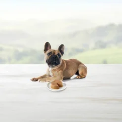 Blue Buffalo Delights Natural Adult Small Breed Wet Dog Food Cups Pate Style, Grilled Chicken & Top Sirloin Beef Flavor - 3.5oz/12ct -PawHut Sales Store GUEST f0188283 2ac4 474f 8b43 e8fd36a6d83d 1