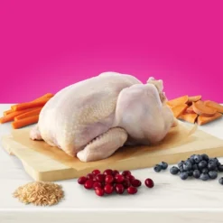 Blue Buffalo True Solutions Indoor Hairball Adult Cat Chicken Dry Cat Food - 11lbs 6 Blue Buffalo True Solutions Indoor Hairball Adult Cat Chicken Dry Cat Food - 11lbs -PawHut Sales Store GUEST f03fc208 5d46 4974 ab7f 1ec02d38cea6