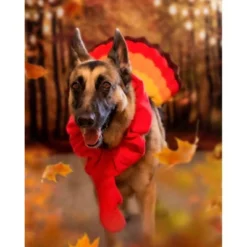 Midlee Turkey Beard & Tail Thanksgiving Dog Costume -PawHut Sales Store GUEST f06146e0 cea6 4661 bb1d 2334e4b6964c