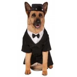 Rubie's Big Dapper Dog Pet Costume