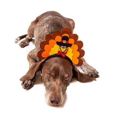 Midlee Turkey Dog Headband 2 Midlee Turkey Dog Headband - Image 2