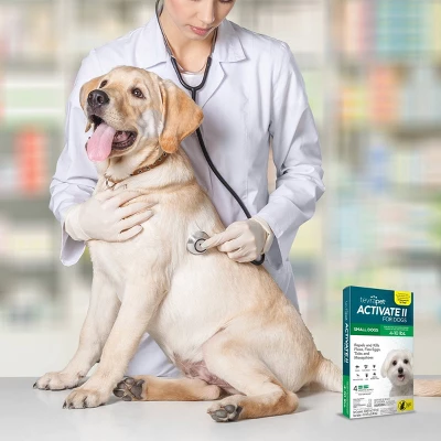 Tevra Pet Activate II Flea And Tick Treatment For Dogs - 4 Doses 2 Tevra Pet Activate II Flea And Tick Treatment For Dogs - 4 Doses - Image 2