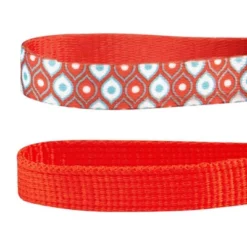 Blueberry Pet The Power Of All-in-One Adjustable Breakaway Cat Collar With Bell & Detachable Flower - Perfect Orange - 2pk -PawHut Sales Store GUEST f1cba07a c30c 4f98 bdc5 ba351c79ce76