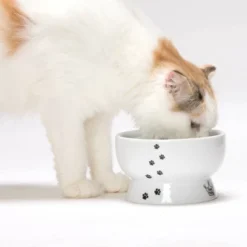 Necoichi Raised Cat Water Bowl 9 Necoichi Raised Cat Water Bowl -PawHut Sales Store GUEST f480c8e5 6e3a 4215 9b01 6c2425a77945
