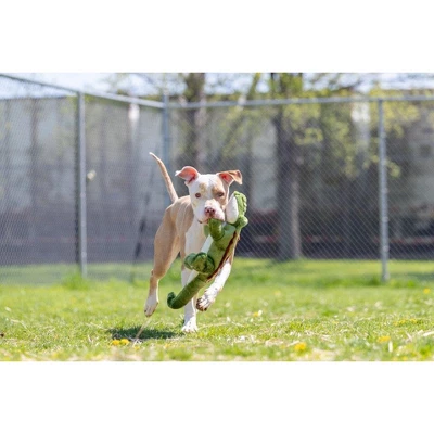 Fluff & Tuff Big Daddy Gator Dog Toy 2 Fluff & Tuff Big Daddy Gator Dog Toy - Image 2