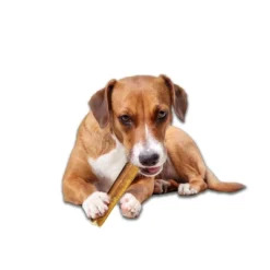 Rewardables 4" To 6" Bull Stick Beef Flavored Dog Treat - 6.5oz 6 Rewardables 4" To 6" Bull Stick Beef Flavored Dog Treat - 6.5oz -PawHut Sales Store GUEST f75532a5 ab2e 490e a35c f112e47642f1