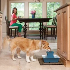 PetSafe Drinkwell Pagoda Pet Fountain -PawHut Sales Store GUEST f7be367b 0b8a 44a8 ba3b 7967019b677c