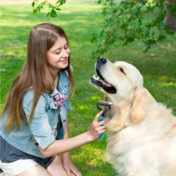 BOSHEL Undercoat Rake For Dogs - Premium Double Sided Dog Grooming Brush - Dog Deshedding Brush - Dematting Comb For Dogs 9 BOSHEL Undercoat Rake For Dogs - Premium Double Sided Dog Grooming Brush - Dog Deshedding Brush - Dematting Comb For Dogs -PawHut Sales Store GUEST f849927e 188a 4838 981e 5648de5597fd