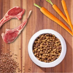 IAMS Proactive Health Lamb & Rice Recipe Adult Premium Dry Dog Food