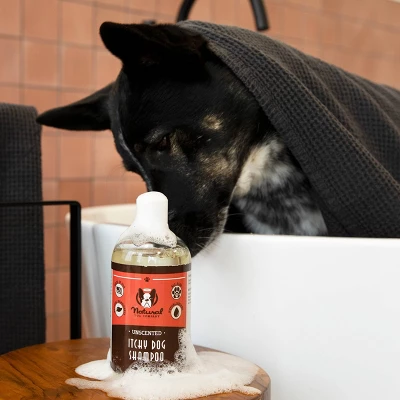 Natural Dog Company Itchy Dog Shampoo - 12oz 4 Natural Dog Company Itchy Dog Shampoo - 12oz - Image 4