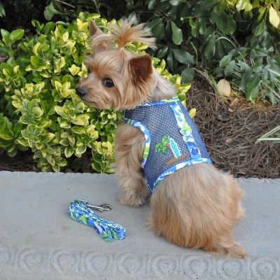 Doggie Design Cool Mesh Dog Harness With Matching Leash-Surfboard Blue And Green 4 Doggie Design Cool Mesh Dog Harness With Matching Leash-Surfboard Blue And Green - Image 4