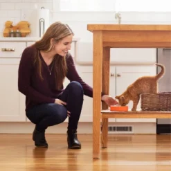 IAMS Proactive Health With Chicken Kitten Premium Dry Cat Food -PawHut Sales Store GUEST fc7bfed5 b824 43b3 bfc6 abd57e2334b5