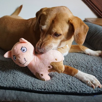 Bite Force Built With Kevlar Tough Plush Pig Dog Toy 8 Bite Force Built With Kevlar Tough Plush Pig Dog Toy - Image 8