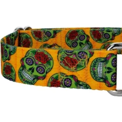 Country Brook Design Sugar Skulls Martingale Dog Collar 7 Country Brook Design Sugar Skulls Martingale Dog Collar -PawHut Sales Store GUEST fde85c4d 2cb9 49c2 957c 55d084f616bf