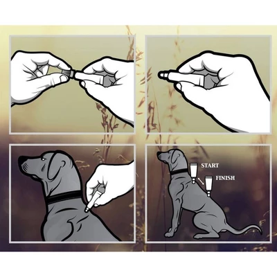 Advecta Pet Insect Flea Drops Treatment For Dogs - 4ct 2 Advecta Pet Insect Flea Drops Treatment For Dogs - 4ct - Image 2