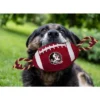 NCAA Florida State Seminoles Nylon Football Dog Toy