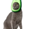 Rubies Yummy World Avocado Face Pet Headpiece Accessory