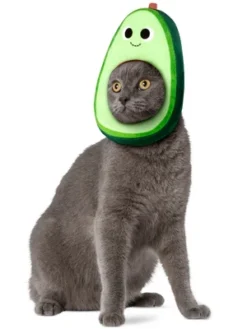 Rubies Yummy World Avocado Face Pet Headpiece Accessory