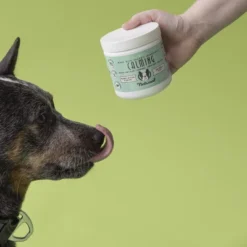 Natural Dog Company Calming Vitamin Chews - Bacon & Peanut Butter - 90ct -PawHut Sales Store GUEST fefd74dc 3d54 4c69 8b10 262a20d836dd